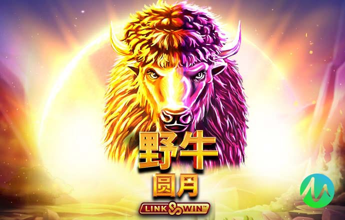8x8小皇冠2024